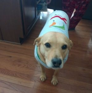 Meet your Posher, Casey